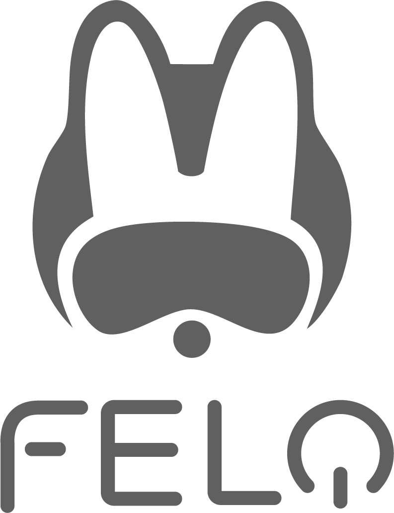 Motos Felo Usadas | Precios, Modelos Disponibles y Compra Segura